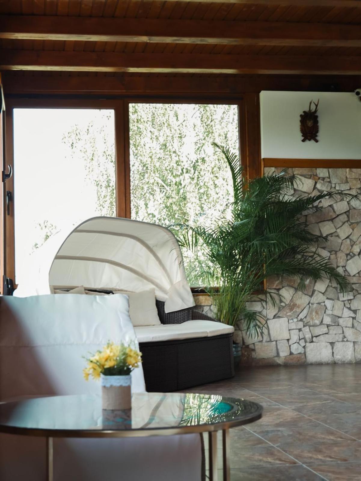 Hanu Lui Gica Spa Σάτου Μάρε Εξωτερικό φωτογραφία