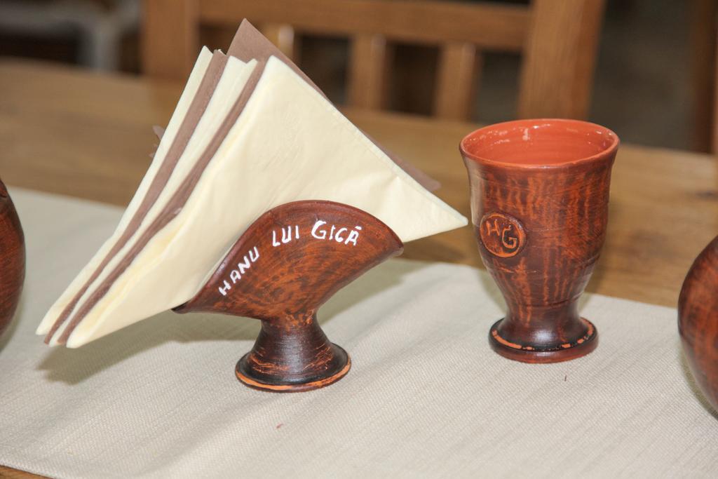 Hanu Lui Gica Spa Σάτου Μάρε Εξωτερικό φωτογραφία